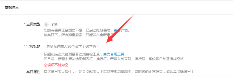 淘宝发布宝贝标题名称最多可以容纳几个汉字？