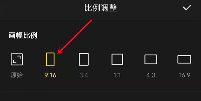 选择视频比例