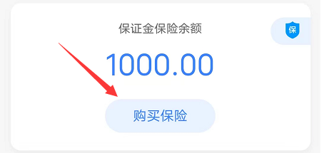 保险保证金购买入口