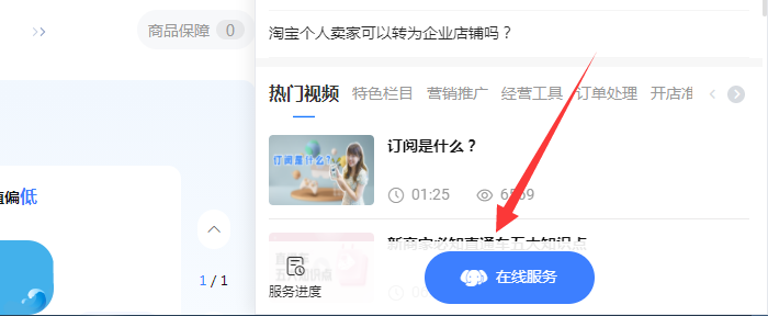 在线服务