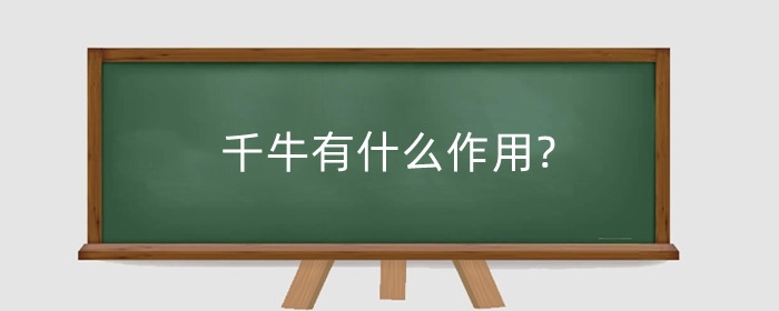 千牛有什么作用?千牛如何查找订单?