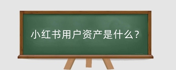 小红书用户资产是什么?小红书用户资产总数怎么算?