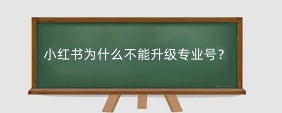 小红书为什么不能升级专业号?小红书申请专业号有什么坏处?