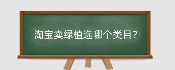 淘宝卖绿植选哪个类目?在淘宝卖绿植好吗?