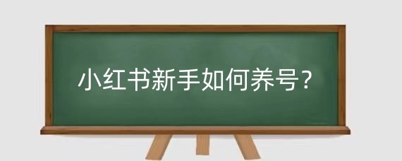 小红书新手如何养号?小红书养号期间发作品注意什么?