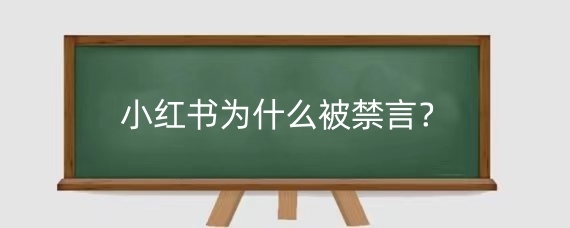 小红书为什么被禁言?小红书评论禁言一天有影响吗?